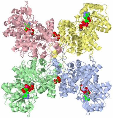 Image Asym./Biol. Unit