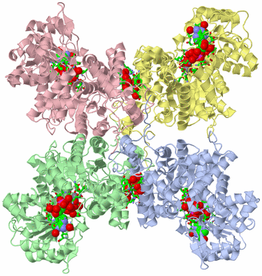 Image Asym./Biol. Unit - sites