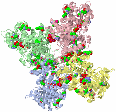 Image Asym./Biol. Unit