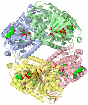 Image Asym./Biol. Unit