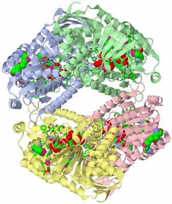 Image Asym./Biol. Unit - sites