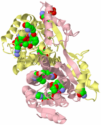 Image Biological Unit 2