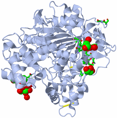 Image Biol. Unit 1 - sites