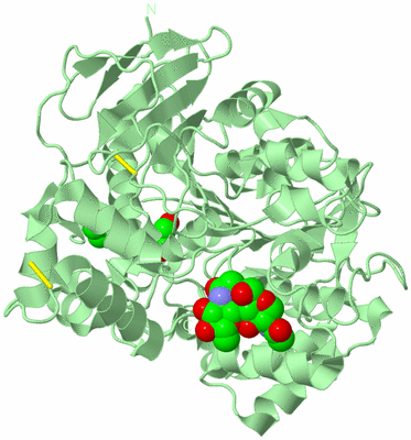 Image Biological Unit 2