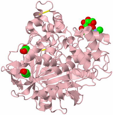 Image Biological Unit 3