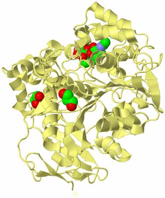 Image Biological Unit 4