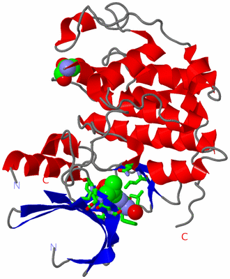 Image Asym./Biol. Unit - sites