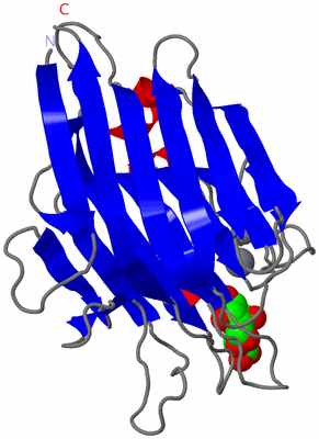 Image Asymmetric Unit