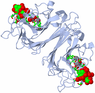 Image Biol. Unit 1 - sites