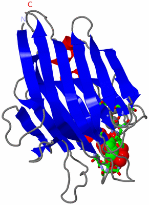 Image Asym. Unit - sites