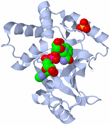 Image Biological Unit 1