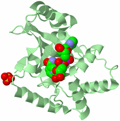 Image Biological Unit 2