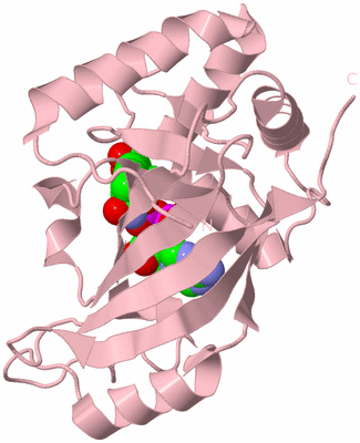 Image Biological Unit 3