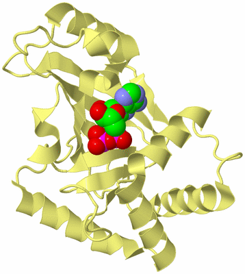 Image Biological Unit 4