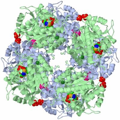 Image Biological Unit 1