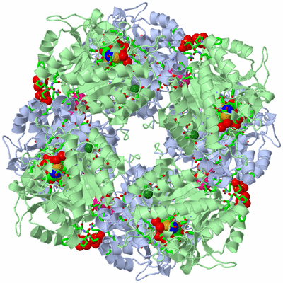 Image Biol. Unit 1 - sites