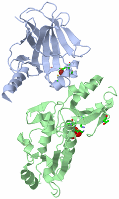 Image Biol. Unit 1 - sites