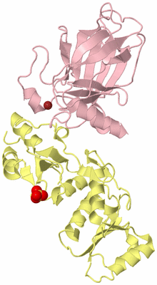 Image Biological Unit 2