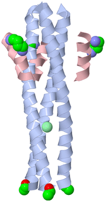 Image Biological Unit 1