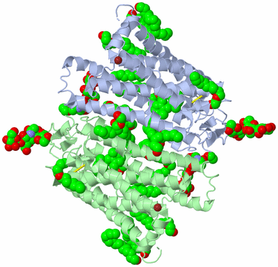 Image Asym./Biol. Unit