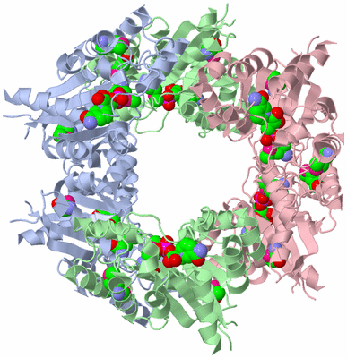 Image Biological Unit 1