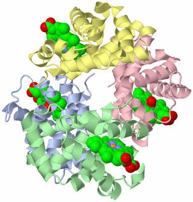 Image Asym./Biol. Unit