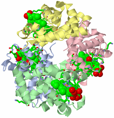 Image Asym./Biol. Unit - sites