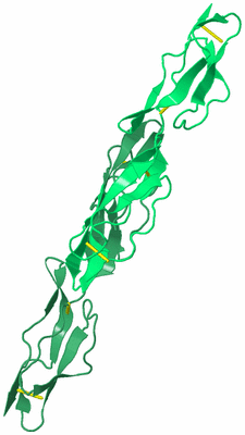 Image Asymmetric Unit