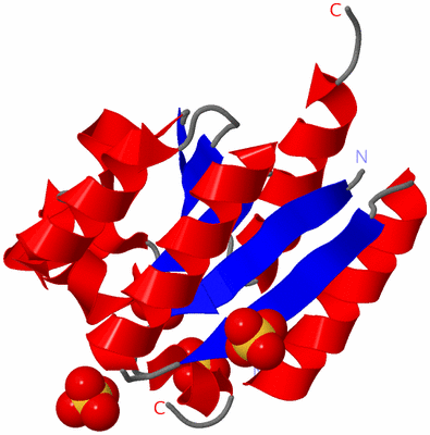 Image Asymmetric Unit