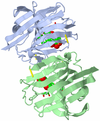 Image Asym. Unit - sites