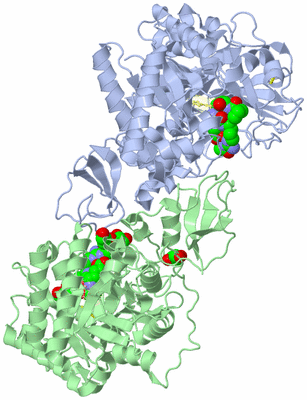 Image Asym./Biol. Unit