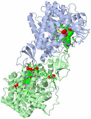 Image Asym./Biol. Unit - sites