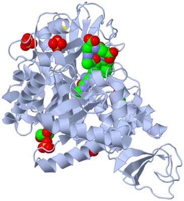 Image Biological Unit 1