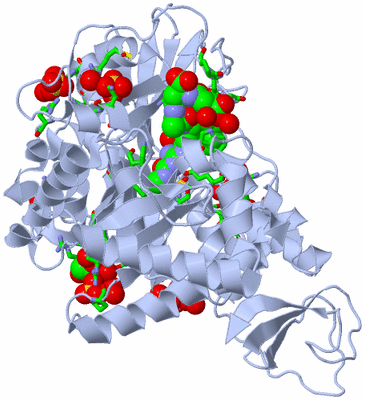 Image Biol. Unit 1 - sites