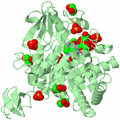 Image Biological Unit 2