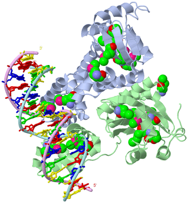 Image Biological Unit 1