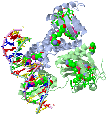 Image Biol. Unit 1 - sites