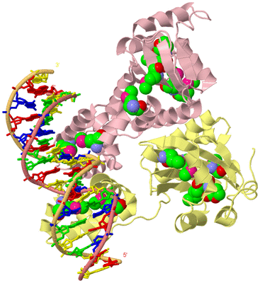 Image Biological Unit 2