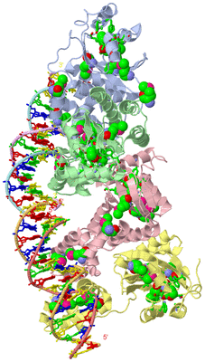 Image Asym. Unit - sites