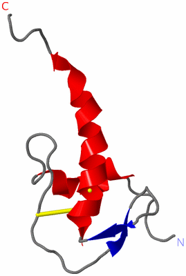 Image NMR Structure - model 1