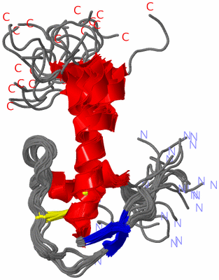 Image NMR Structure - all models