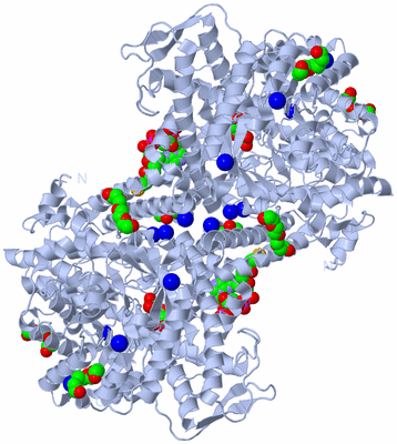 Image Biological Unit 1