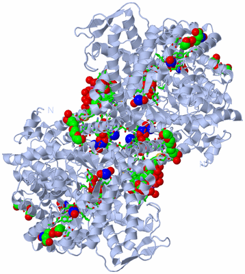 Image Biol. Unit 1 - sites