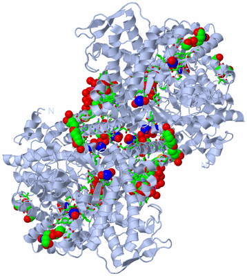 Image Biol. Unit 1 - sites