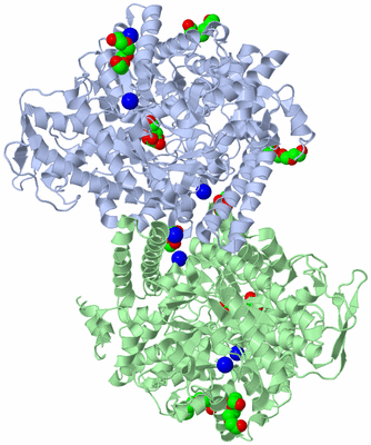 Image Asym./Biol. Unit