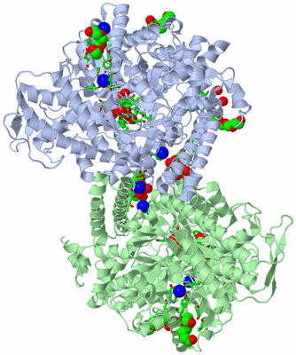 Image Asym./Biol. Unit - sites