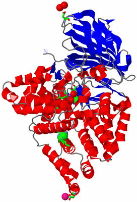 Image Asym./Biol. Unit - sites