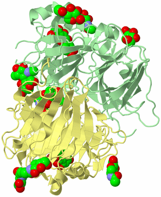 Image Biological Unit 2