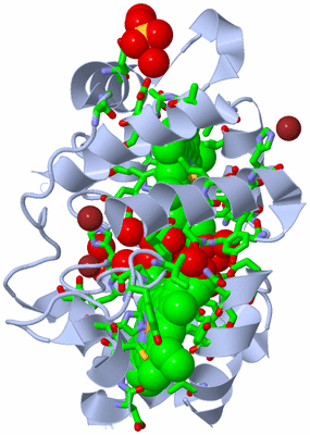 Image Biol. Unit 1 - sites