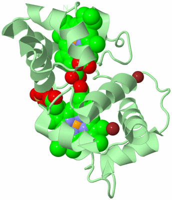 Image Biological Unit 2